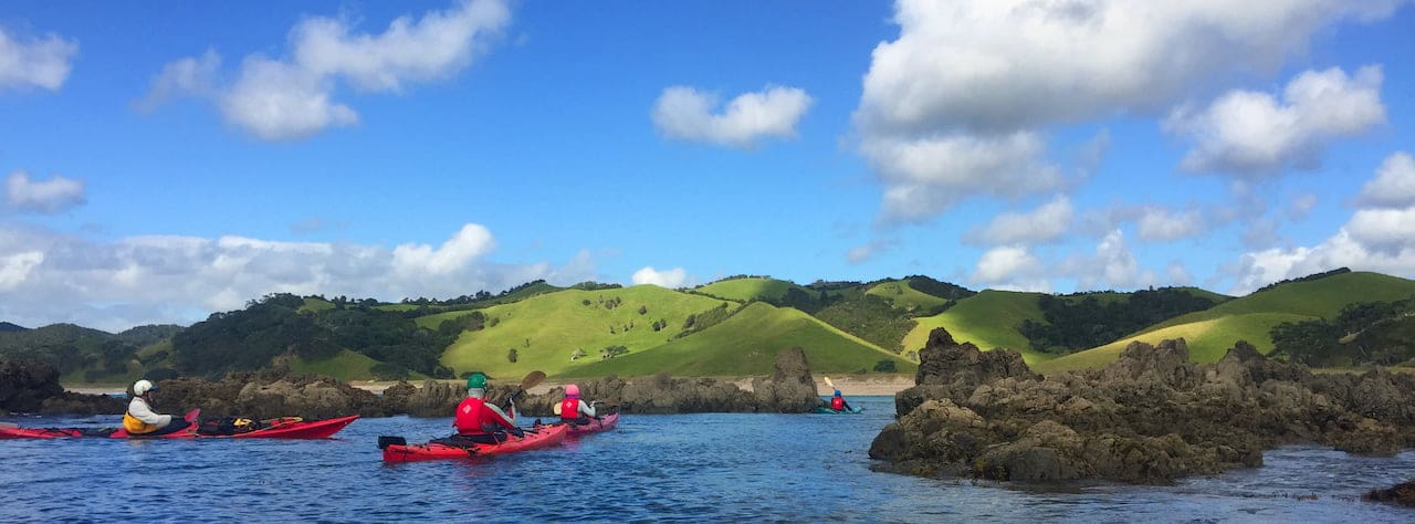 New Zealand, Bay of Islands Paddling Wrap Up