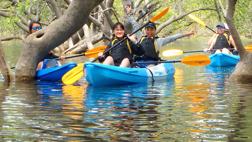 Jervis Bay Kayaks: people on kayak tour in Huskisson